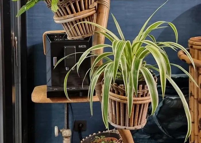 Bed & Breakfast La Chevre Folle - In Style Featuring A Free Basic Breakfast 4*