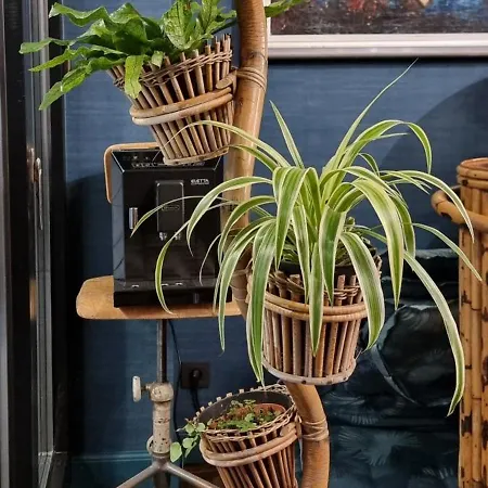 Bed & Breakfast Logies La Chèvre Folle - Lodging&cooking In Style With Shared Kitchen 4*